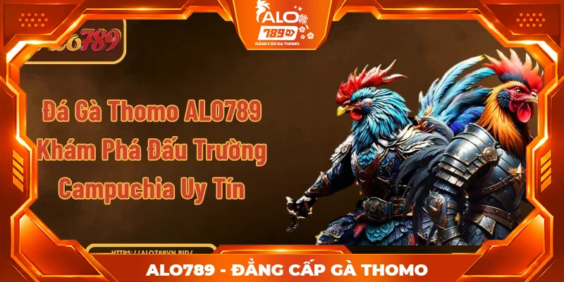 Đá Gà Thomo ALO789 - Khám Phá Đấu Trường Campuchia Uy Tín