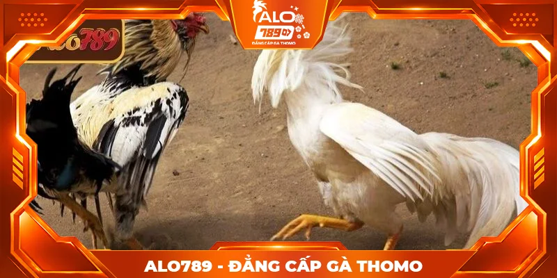 Kinh nghiệm đặt cược SV388 ALO789 giúp tăng tỷ lệ thắng Kinh nghiệm đặt cược SV388 ALO789 giúp tăng tỷ lệ thắng