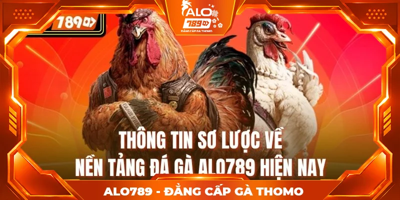 Thông tin sơ lược về nền tảng đá gà alo789 hiện nay Thông tin sơ lược về nền tảng đá gà alo789 hiện nay