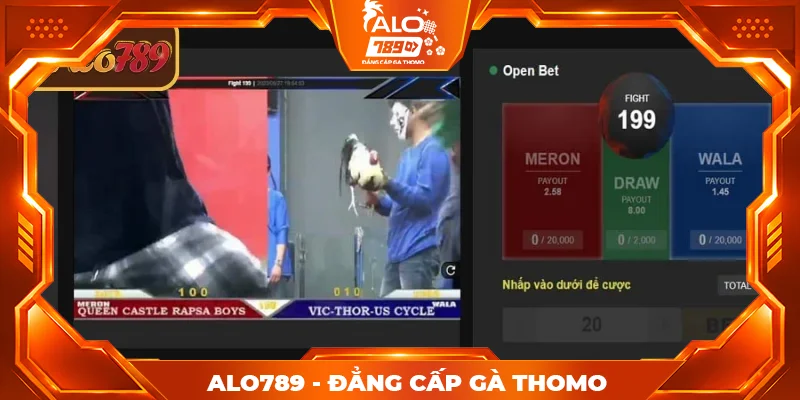 Tổng hợp các hình thức đá gà nổi bật tại WS168 ALO789 Tổng hợp các hình thức đá gà nổi bật tại WS168 ALO789