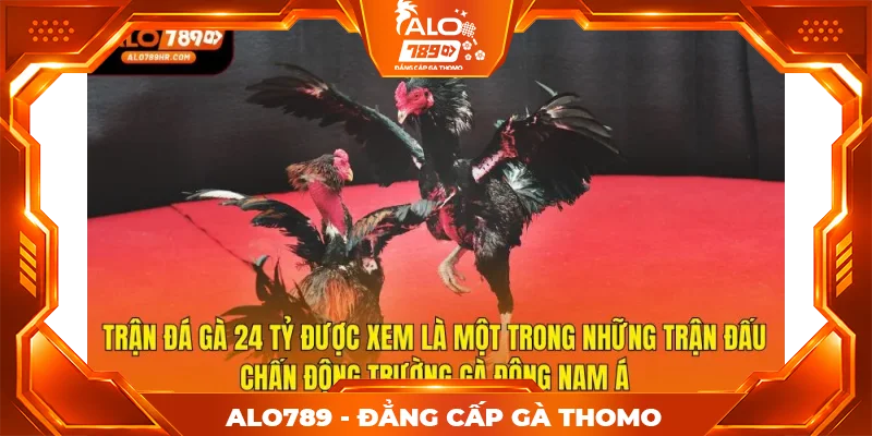 Trận đá gà 24 tỷ được xem là một trong những trận đấu chấn động trường gà Đông Nam Á Trận đá gà 24 tỷ được xem là một trong những trận đấu chấn động trường gà Đông Nam Á